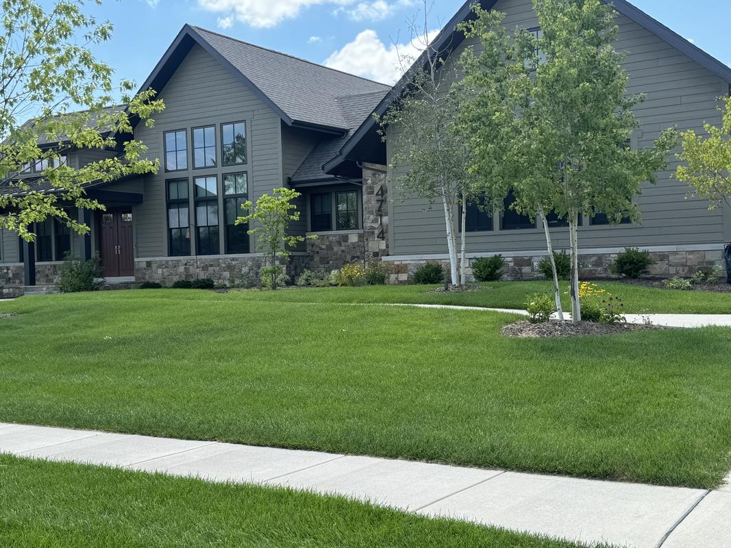 Lawns Unlimited