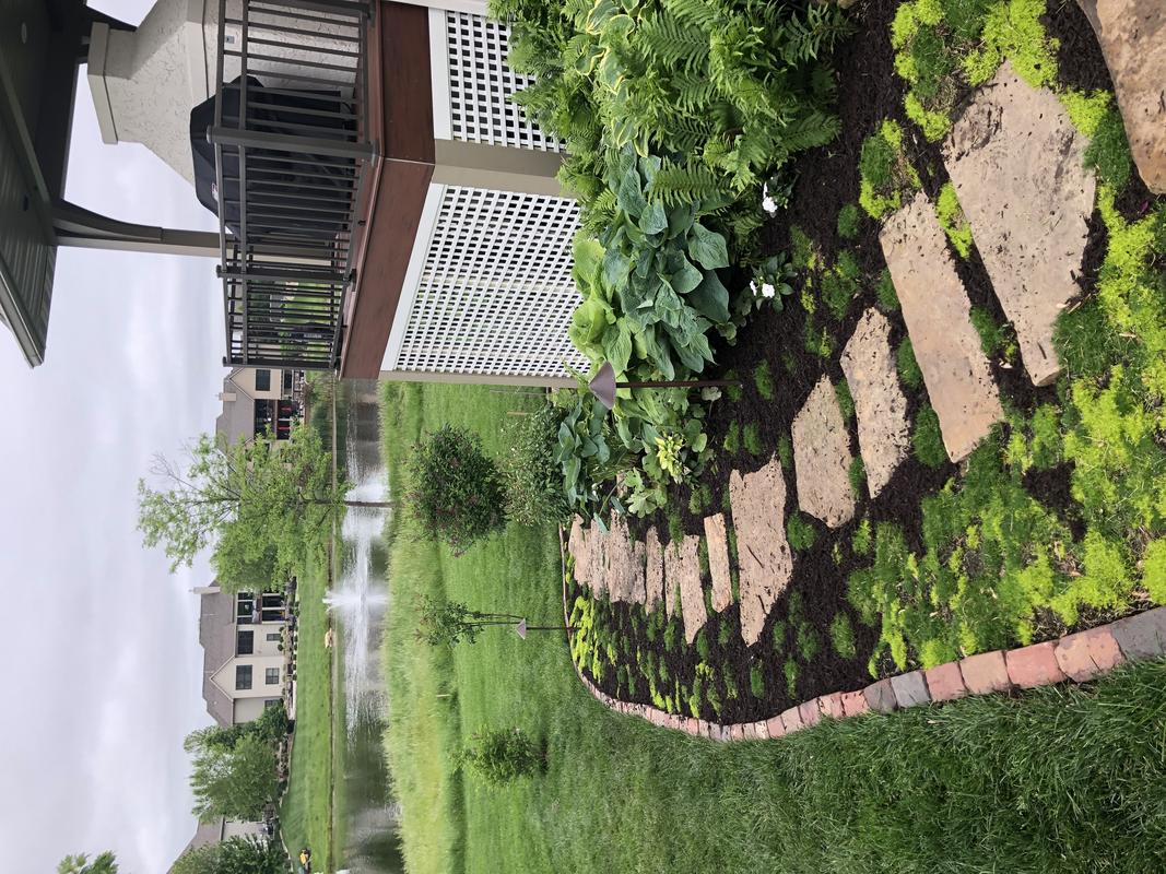 Lawns Unlimited
