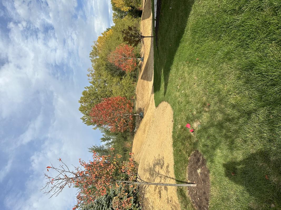 Lawns Unlimited