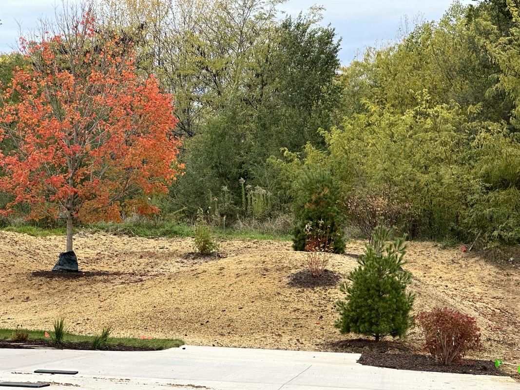 Lawns Unlimited